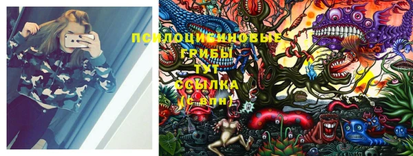 PSILOCYBIN Богданович