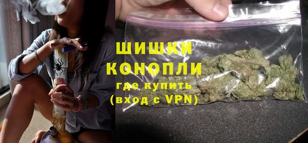 PSILOCYBIN Богданович
